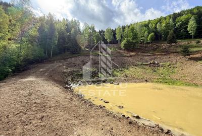 Teren Construcții extravilan de 18000 mp, în Exterior Sud - 32