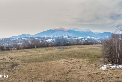 Teren de 4500 mp, în Central - 10