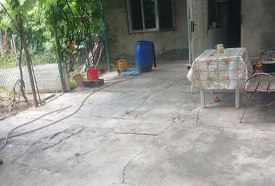 Casă cu 3 camere în Plopi - 6