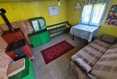 Casă individuală cu 2 camere cu Teren 13000 Mp în Tomești - 9