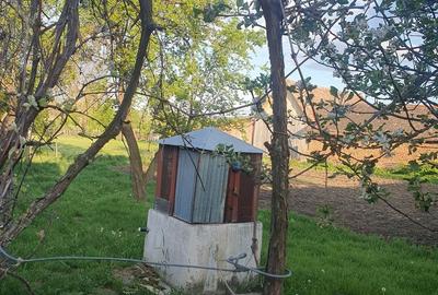 Casă cu 3 camere cu Teren 2600 Mp în Brădeni