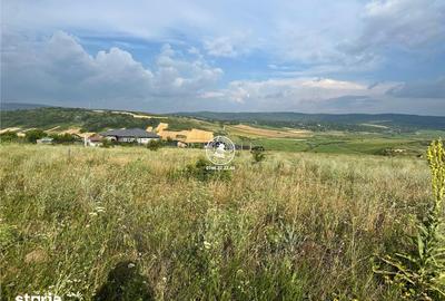 Teren de 633 mp, în Dumbrava
