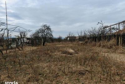 Teren de 1660 mp, în Letea Veche - 2