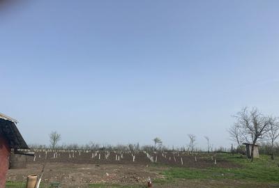 Casă cu 4 camere cu Teren 8500 Mp în Răsuceni - 5