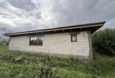 Casă cu 3 camere cu Teren 3800 Mp în Peleș - 4