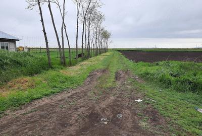 Teren de 4500 mp, în Central - 5