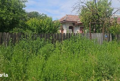 Casă cu Teren 2240 Mp în Drăgănești