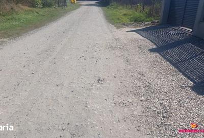 Teren de 1500 mp, în Roșia - 3