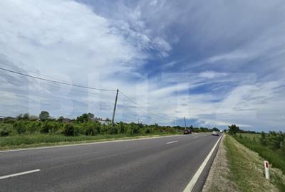 Teren de 3000 mp, în Costești - 5