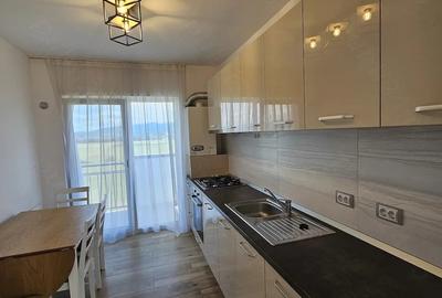 Apartament cu 3 camere decomandat în Turnișor - 2