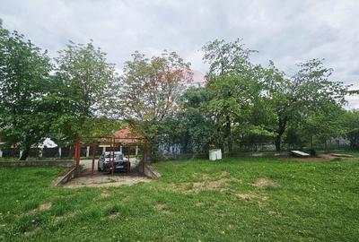 Teren Construcții intravilan de 5350 mp, în Dobreni - 4