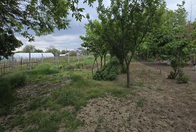 Teren de 760 mp, în 1 Decembrie - 7