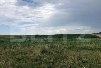 Teren de 500 mp, în Central - 1