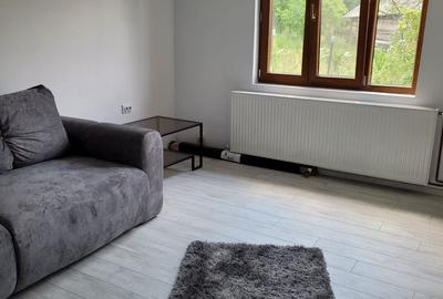 Casă cu 3 camere cu Teren 1100 Mp în Mihăești - 4