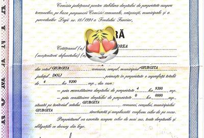 Teren de 20000 mp, în Giurgița - 3