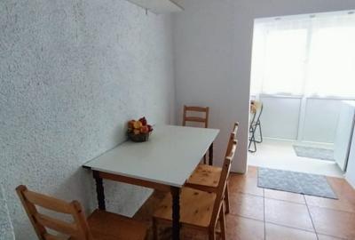 Apartament cu 3 camere decomandat, mobilat în Brazda lui Novac - 4