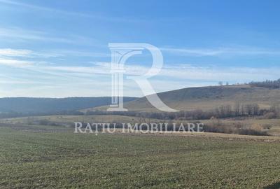 Teren de 3900 mp, în Hidiș