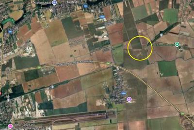 Teren agricol extravilan de 30200 mp, în Căciulați - 2