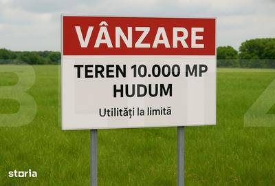 Teren de 10000 mp, în Curtești
