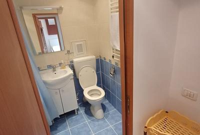 Spațiu comercial, de 2,333 mp, în Brabeți