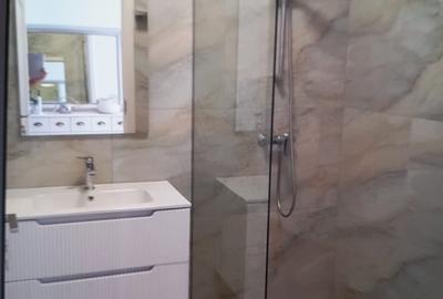 Duplex cu 3 camere cu Teren 270 Mp în Remetea Mare - 6