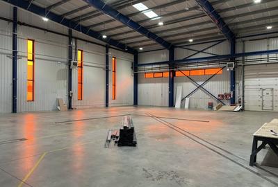Spațiu industrial, de 650 mp, în Grigorescu - 9