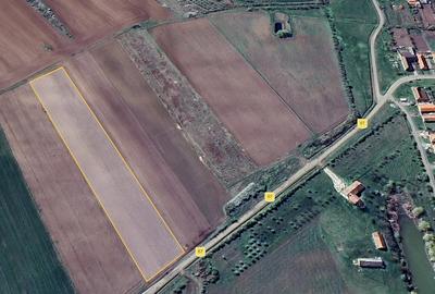 Teren de 13106 mp, în Bencecu de Sus - 2