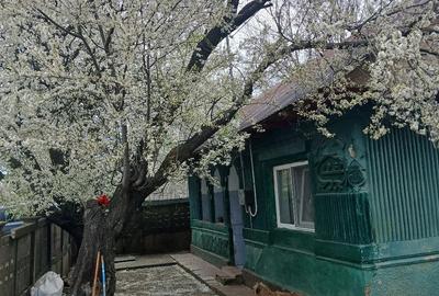 Casă cu Teren 680 Mp în Fierbinți-Târg