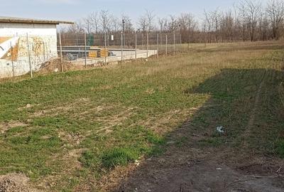 Teren de 1000 mp, în Cătunu