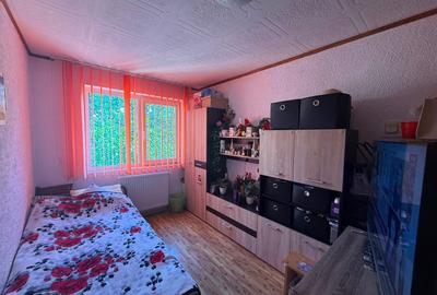 Apartament cu 3 camere decomandat în Gojdu - 10