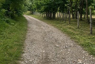 Teren de 3700 mp, în Corbșori