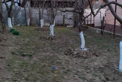 Casă cu 3 camere în Făget - 7