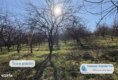 Casă cu 4 camere cu Teren 5300 Mp în Central - 7