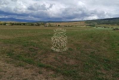 Teren Construcții intravilan de 5217 mp, în Livezile - 1