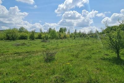 Teren Construcții extravilan de 1500 mp, în Sud-Est - 4