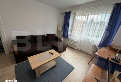 Apartament cu 2 camere semidecomandat în Cetate - 7
