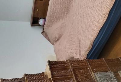 Casă cu 2 camere cu Teren 2500 Mp în Surdila-Greci - 3