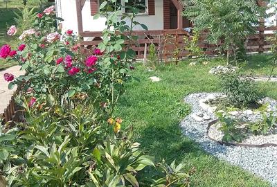 Casă cu 3 camere cu Teren 4434 Mp în Geaca - 3