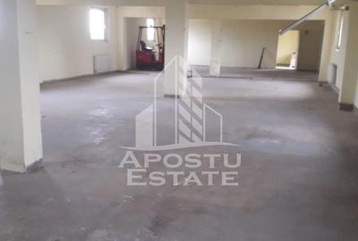 Spațiu comercial, de 430 mp, în Moșnița Nouă