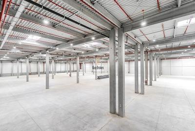 Spațiu industrial, de 4,300 mp, în Apahida