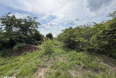 Teren de 498.02 mp, în Corbeanca