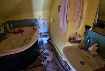 Casă cu 3 camere cu Teren 3589 Mp în Săucești - 2