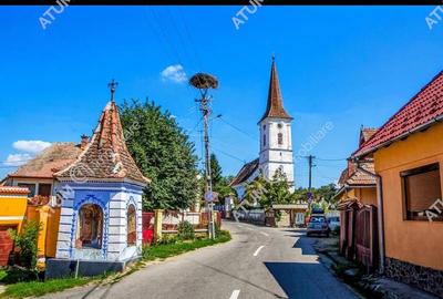 Teren extravilan de 1200 mp, în Sibiel