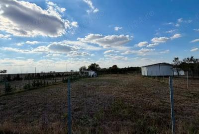 Teren de 1100 mp, în Călacea - 3