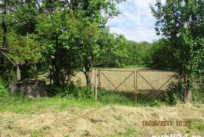 Teren de 1270 mp, în Drajna - 3