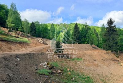 Teren Construcții extravilan de 18000 mp, în Exterior Sud - 22