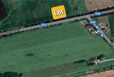 Teren de 600 mp, în Ciolpani - 2