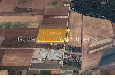Teren Construcții extravilan de 130000 mp, în Ariceștii Rahtivani - 2