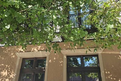 Casă cu 3 camere în Central - 7