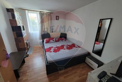 Apartament cu 2 camere semidecomandat, mobilat în Chitila - 7